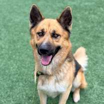 Thumbnail photo of Atlas #1