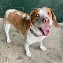 Thumbnail photo of Fillmore #4