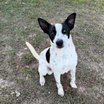 Thumbnail photo of Spunklet #3