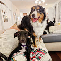 Thumbnail photo of Pearl #3