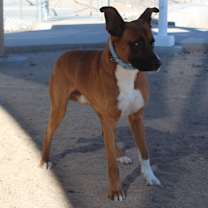 Thumbnail photo of Bruce #2