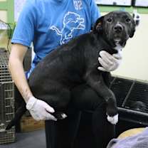 Thumbnail photo of Rivers #3