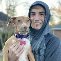 Thumbnail photo of Toffee #3