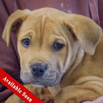 Thumbnail photo of Kane #1