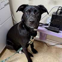 Thumbnail photo of Clover #1