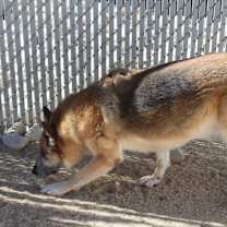 Thumbnail photo of Nelson #2