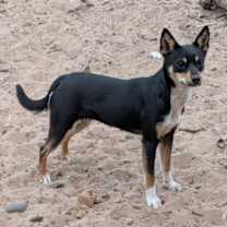 Thumbnail photo of Flower #2