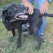 Thumbnail photo of Marshall #2