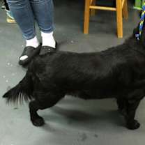 Thumbnail photo of Uncle Fester #3