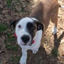 Thumbnail photo of Noah #3