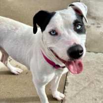 Thumbnail photo of Lady #1