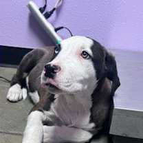 Thumbnail photo of 60034859 #1