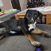 Thumbnail photo of Jacob #3