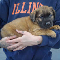 Thumbnail photo of Charlie #2