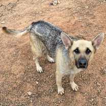 Thumbnail photo of Lana #1