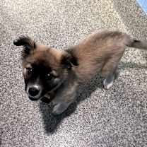 Thumbnail photo of Winnie #1