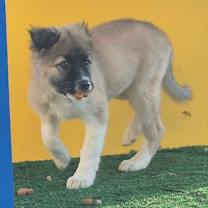 Thumbnail photo of Winnie #2