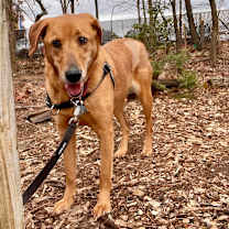 Thumbnail photo of Darla #3