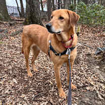 Thumbnail photo of Darla #4