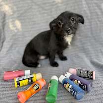 Thumbnail photo of Rainbow #2