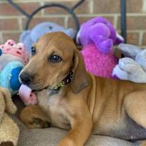 Thumbnail photo of Regina #2