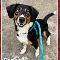 Thumbnail photo of FRANCO #1