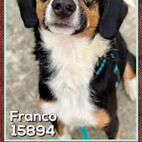 Thumbnail photo of FRANCO #2