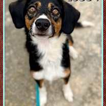 Thumbnail photo of FRANCO #4