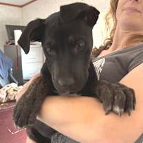 Thumbnail photo of Vinny JuM #3