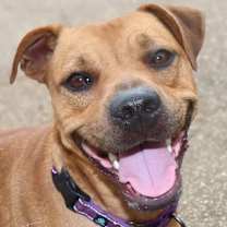 Thumbnail photo of Lois #1