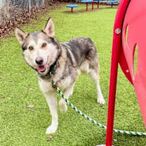 Thumbnail photo of *Renee* #4