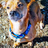 Thumbnail photo of Sloane #2