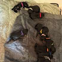 Thumbnail photo of Jazmine (White8) #3