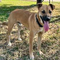 Thumbnail photo of Osito #2