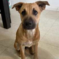 Thumbnail photo of Osito #3