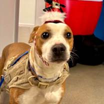 Thumbnail photo of PLUM #2