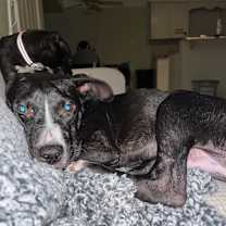 Thumbnail photo of Max #3