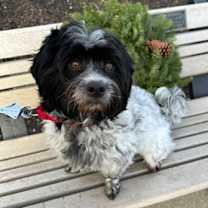 Thumbnail photo of Jingle #3