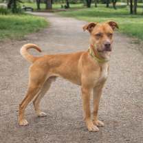 Thumbnail photo of Cooper #2