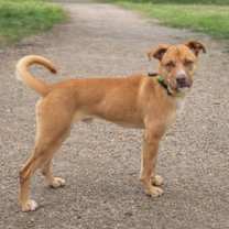 Thumbnail photo of Cooper #3