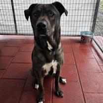 Thumbnail photo of Baby #2