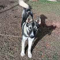 Thumbnail photo of Stormi #1