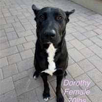 Thumbnail photo of Dorothy #1