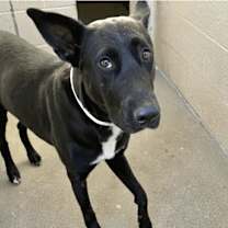 Thumbnail photo of Dorothy #2