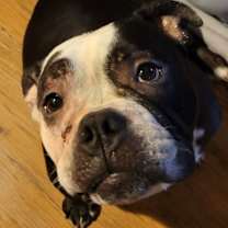 Thumbnail photo of Sweetie (2025) #2