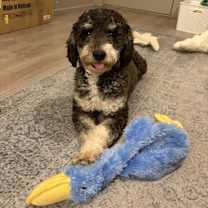 Thumbnail photo of Tanner #3