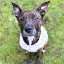 Thumbnail photo of Kamari #1