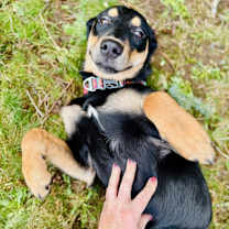 Thumbnail photo of Ethel #1