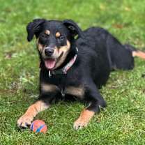 Thumbnail photo of Ethel #2