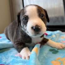 Thumbnail photo of Honor #4